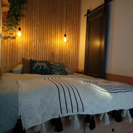 Tiny House De Slaapkop * Haarlem