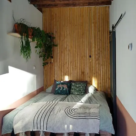 Bed & Breakfast Tiny House De Slaapkop