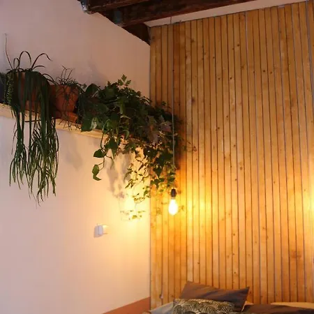 Bed & Breakfast Tiny House De Slaapkop Haarlem
