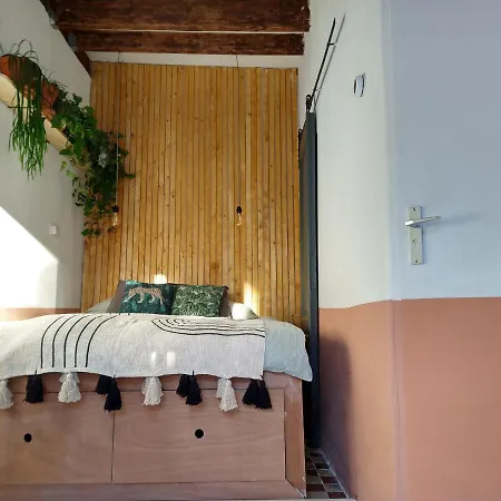 Tiny House De Slaapkop Bed & Breakfast