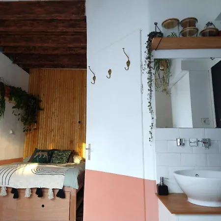 Tiny House De Slaapkop
