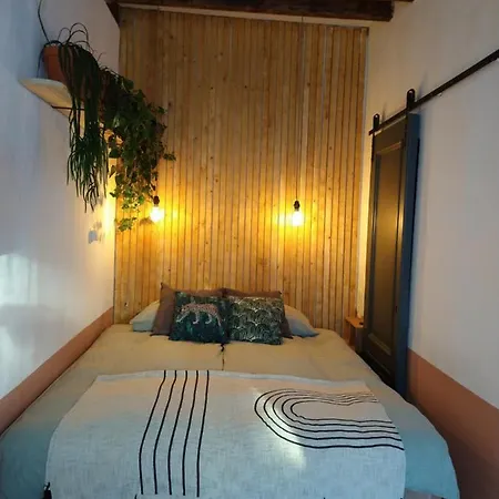 Tiny House De Slaapkop