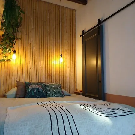 Tiny House De Slaapkop Haarlem