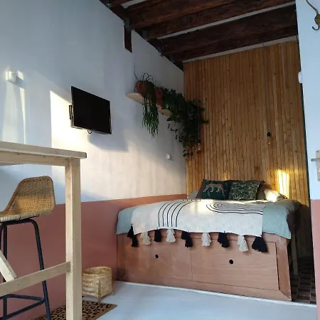 Tiny House De Slaapkop Bed & Breakfast Haarlem