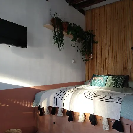Tiny House De Slaapkop * Haarlem