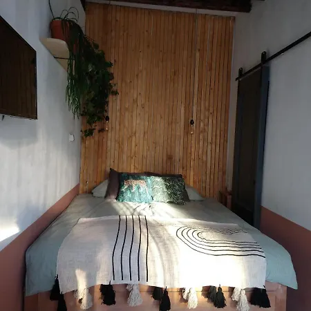Tiny House De Slaapkop Bed & Breakfast *