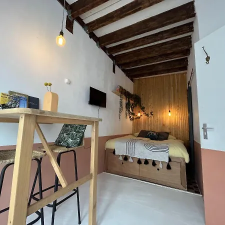Tiny House De Slaapkop Bed & Breakfast Haarlem